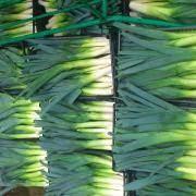 Images 1